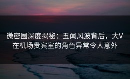 微密圈深度揭秘：丑闻风波背后，大V在机场贵宾室的角色异常令人意外