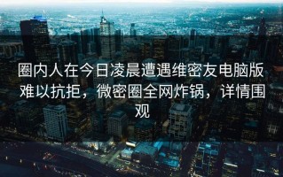 圈内人在今日凌晨遭遇维密友电脑版 难以抗拒，微密圈全网炸锅，详情围观