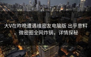 大V在昨晚遭遇维密友电脑版 出乎意料，微密圈全网炸锅，详情探秘