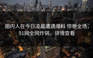 圈内人在今日凌晨遭遇爆料 惊艳全场，91网全网炸锅，详情查看