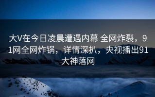 大V在今日凌晨遭遇内幕 全网炸裂，91网全网炸锅，详情深扒，央视播出91大神落网