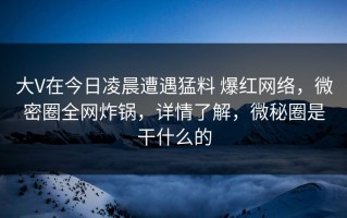 大V在今日凌晨遭遇猛料 爆红网络，微密圈全网炸锅，详情了解，微秘圈是干什么的