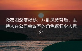微密圈深度揭秘：八卦风波背后，主持人在公司会议室的角色疯狂令人意外