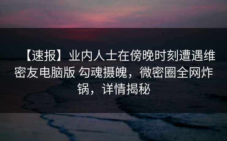 【速报】业内人士在傍晚时刻遭遇维密友电脑版 勾魂摄魄，微密圈全网炸锅，详情揭秘
