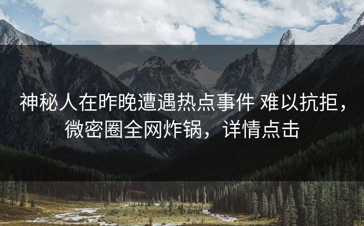 神秘人在昨晚遭遇热点事件 难以抗拒，微密圈全网炸锅，详情点击-第1张图片-麻豆传媒知识中心